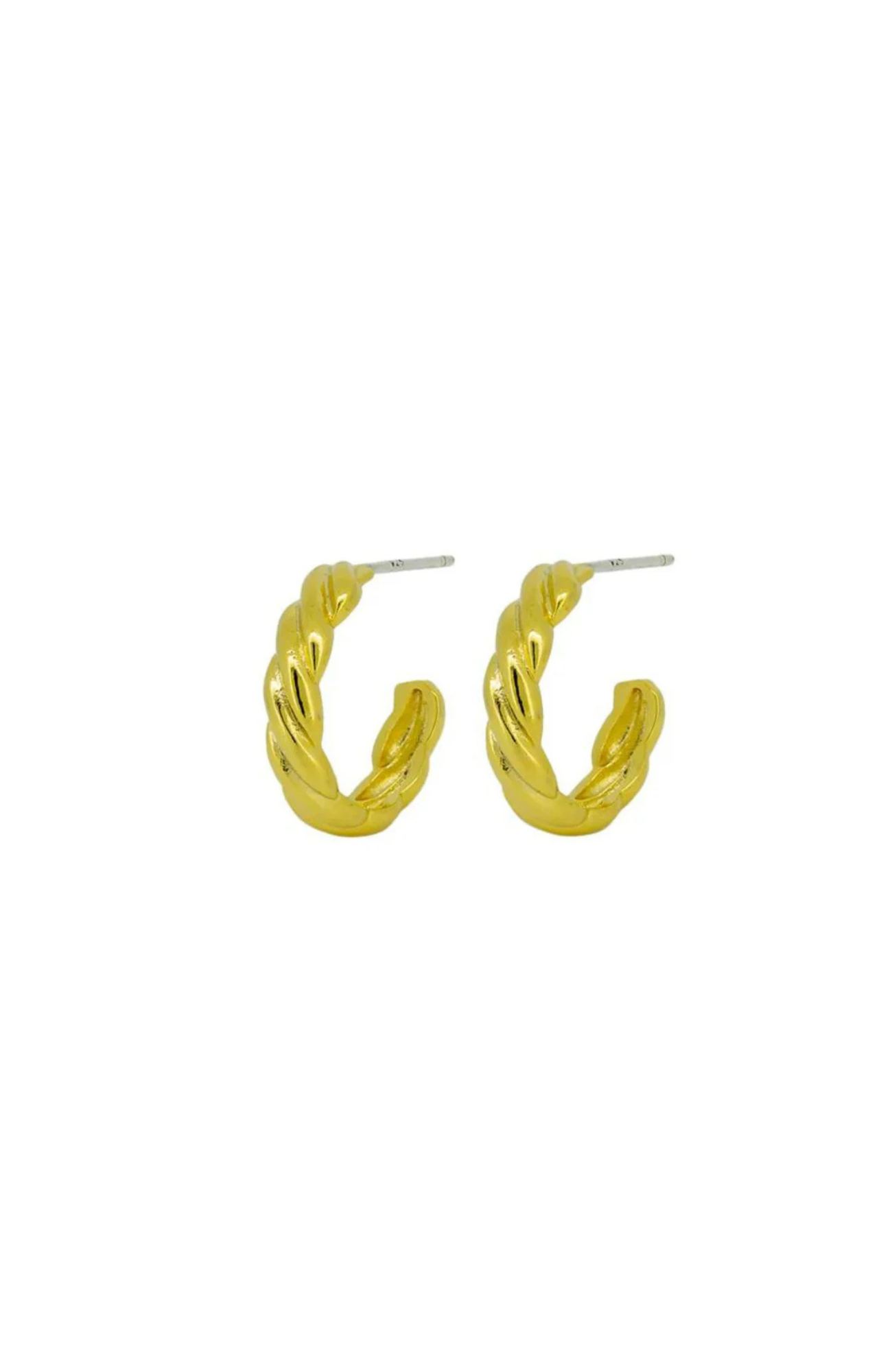 Ambre Earrings